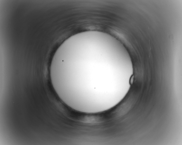 X0000088050453200706011345