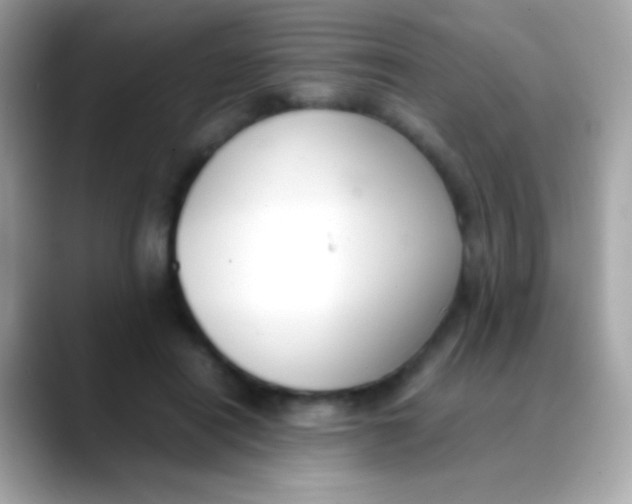 X0000088050454200706011345