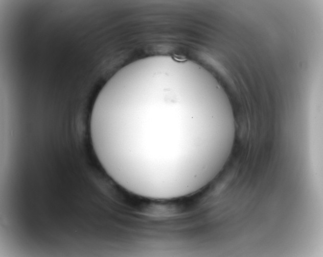 X0000088050455200706011345