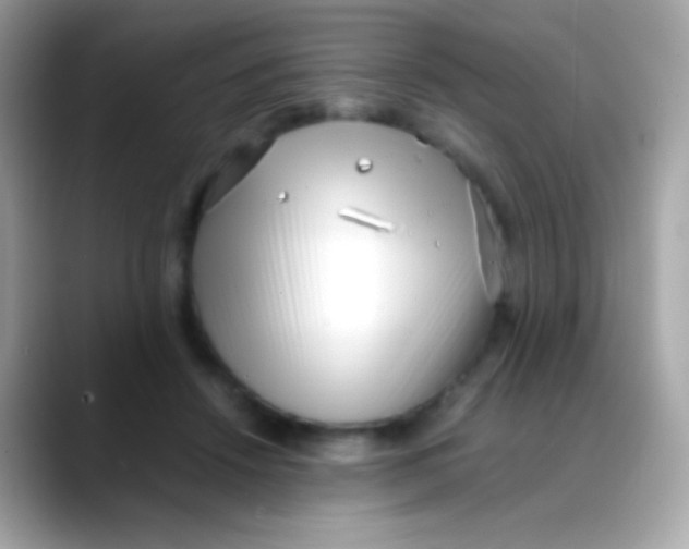 X0000088050456200706011345