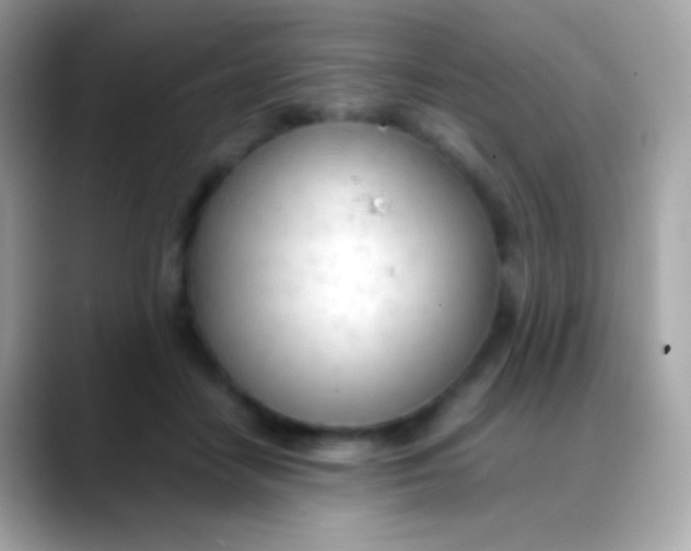 X0000088050458200706011345