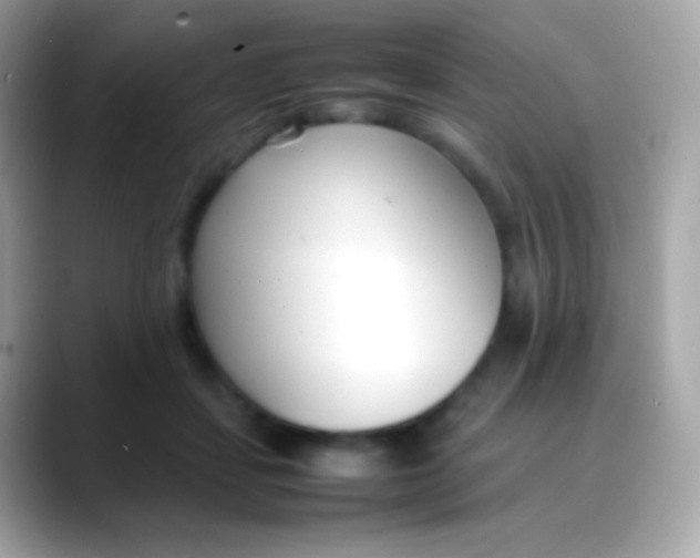 X0000088050459200706011345