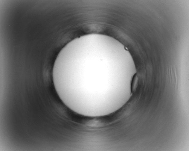 X0000088050460200706011345