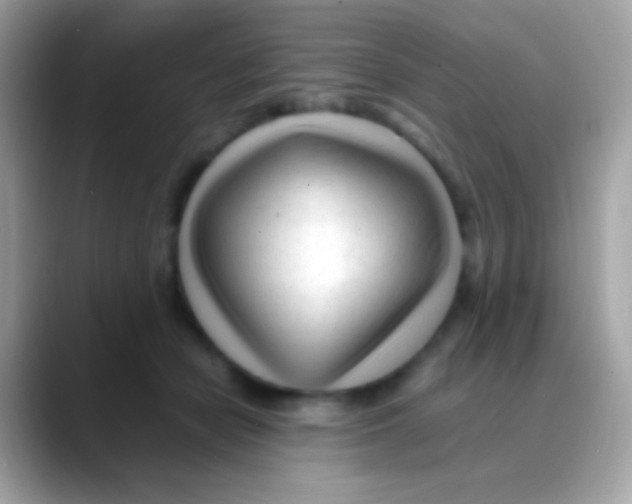 X0000088050462200706011345