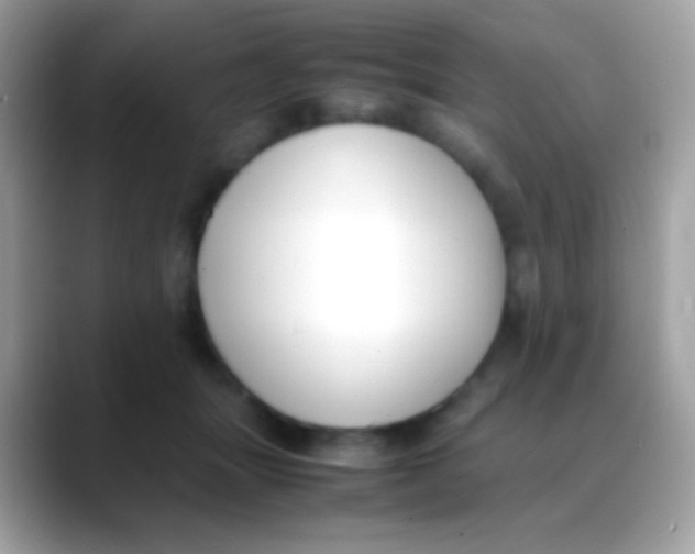 X0000088050463200706011345