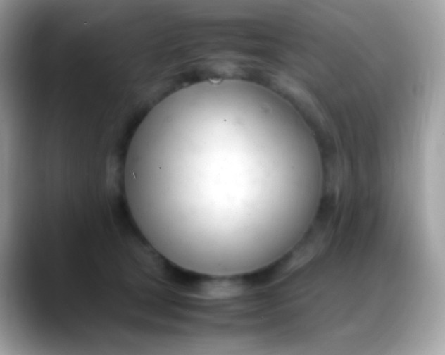 X0000088050465200706011345