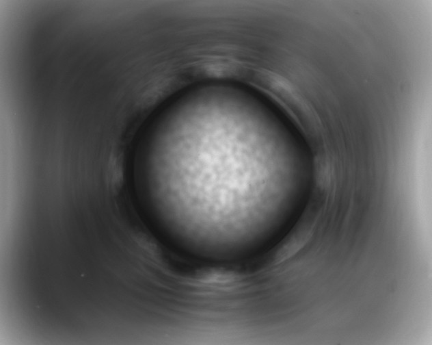 X0000088050471200706011345