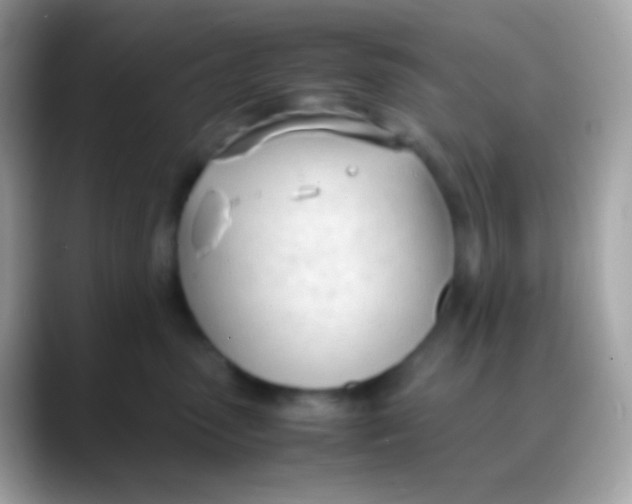 X0000088050475200706011345