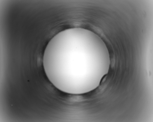 X0000088050476200706011345