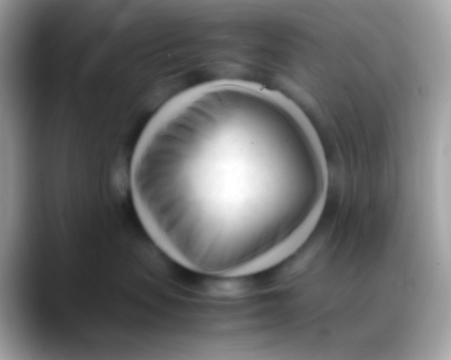 X0000088050479200706011345