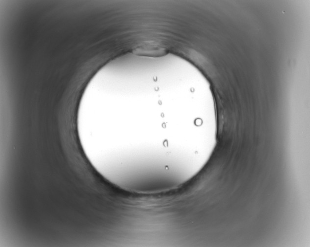 X0000088050481200706011345