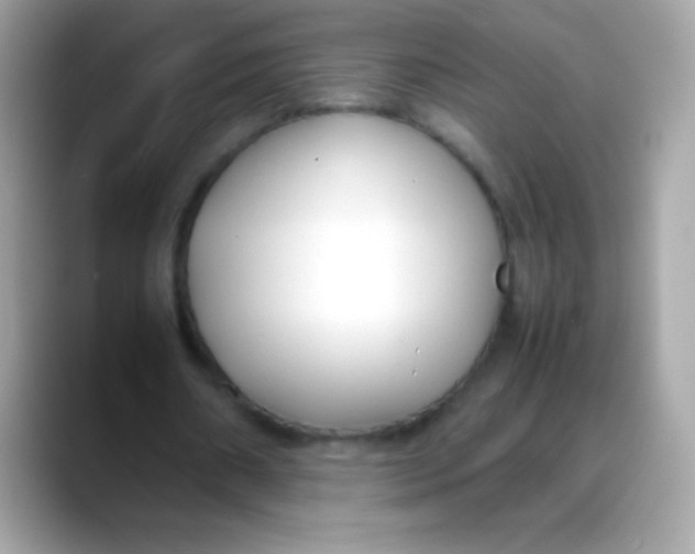 X0000088050482200706011345