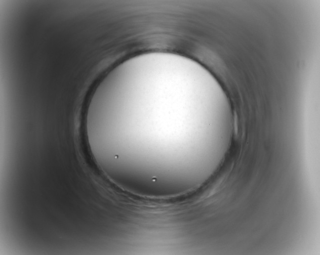 X0000088050483200706011345