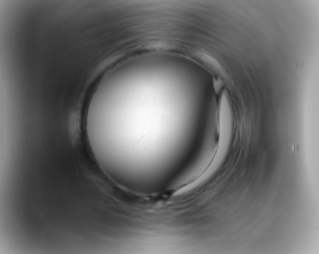 X0000088050484200706011345