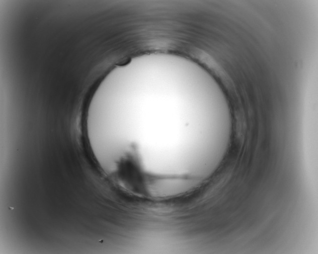 X0000088050486200706011345