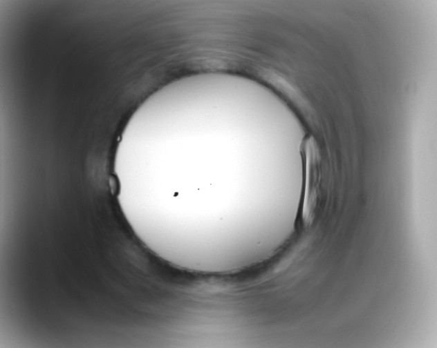 X0000088050489200706011345