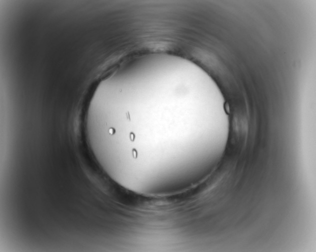 X0000088050492200706011345