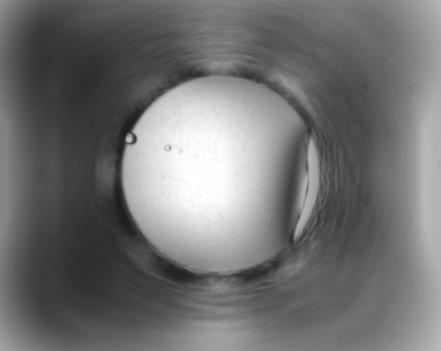 X0000088050495200706011345