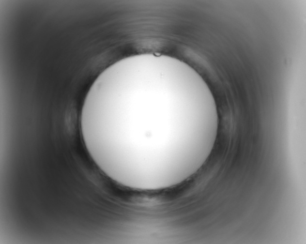 X0000088050498200706011345