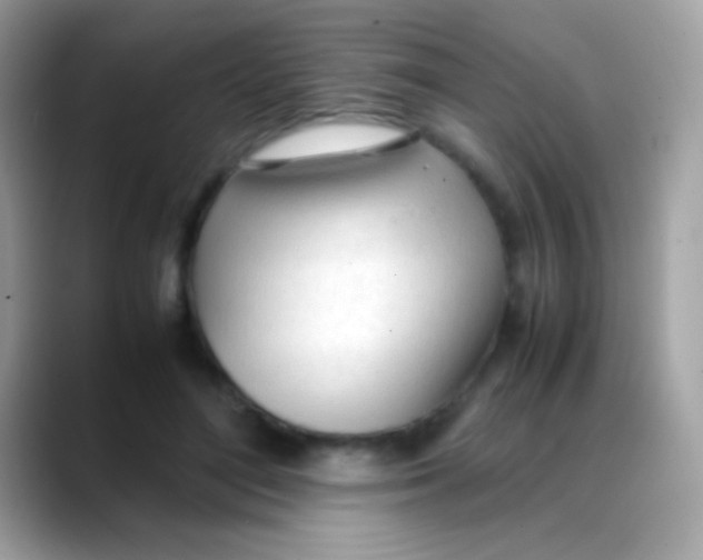X0000088050500200706011345