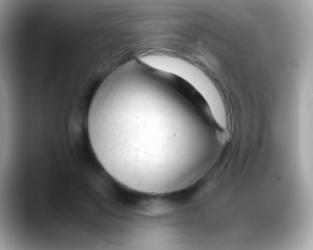 X0000088050503200706011345