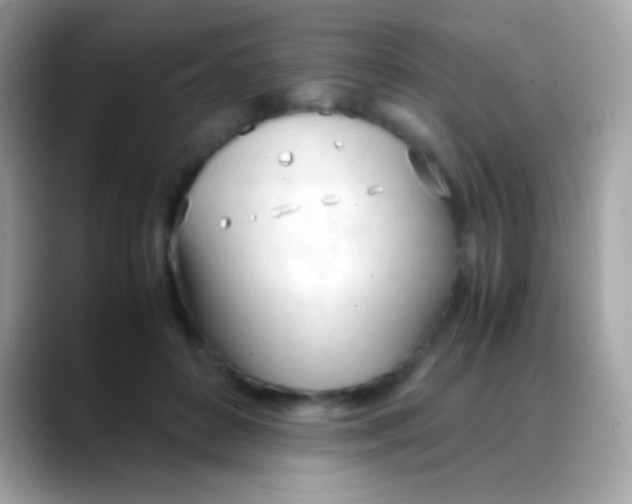 X0000088050504200706011345