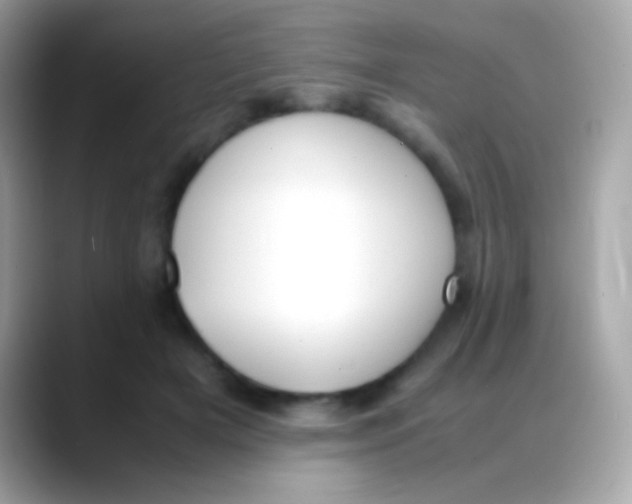 X0000088050505200706011345