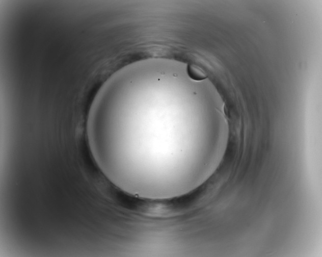 X0000088050507200706011345