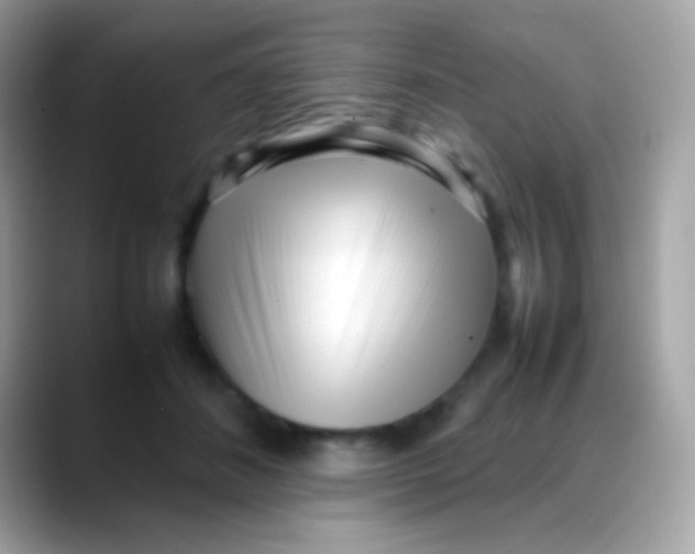 X0000088050508200706011345