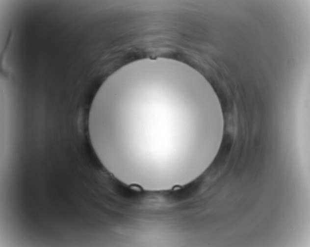 X0000088050519200706011344