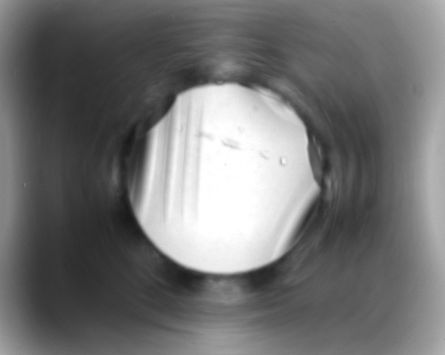 X0000088050520200706011344