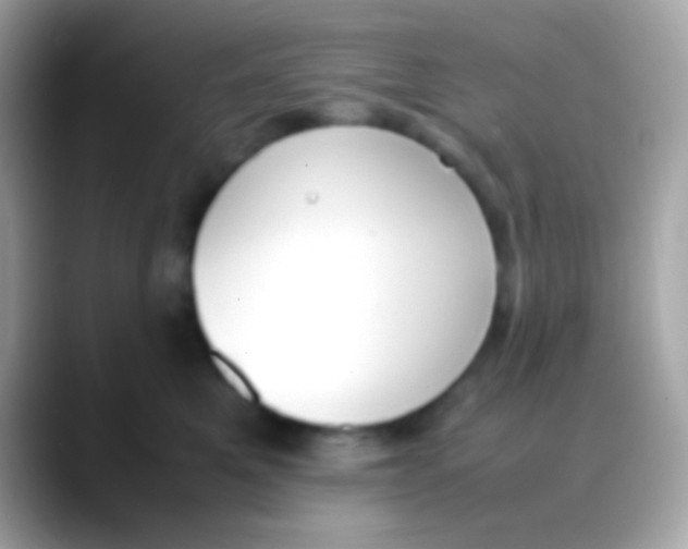 X0000088050521200706011344