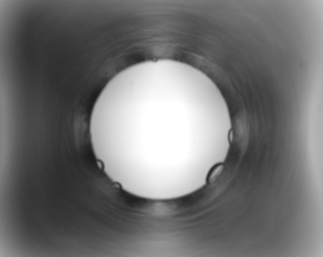 X0000088050522200706011344
