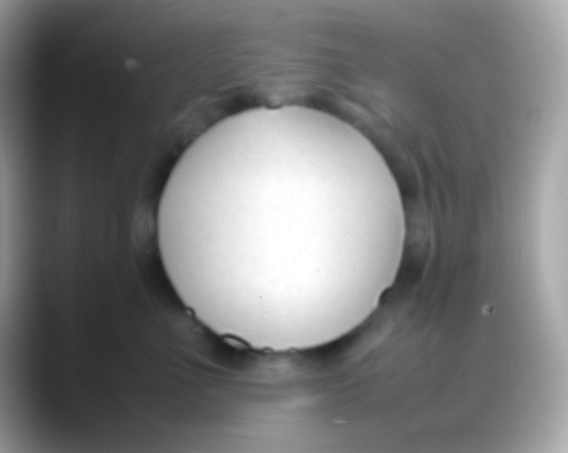 X0000088050523200706011344