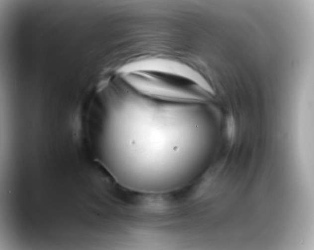 X0000088050524200706011344