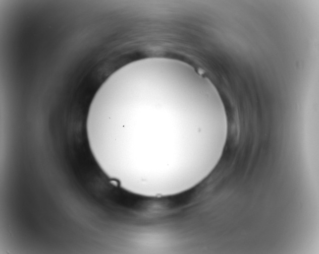 X0000088050525200706011344
