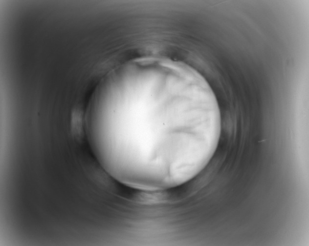 X0000088050526200706011344