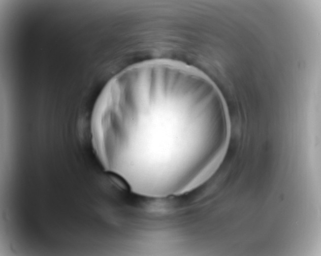X0000088050527200706011344