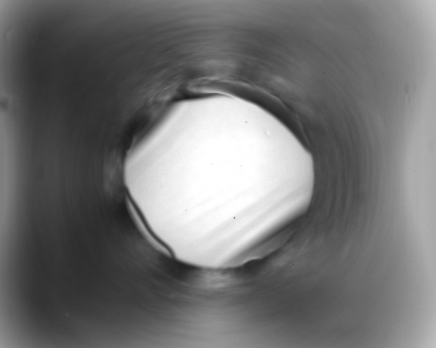 X0000088050528200706011344