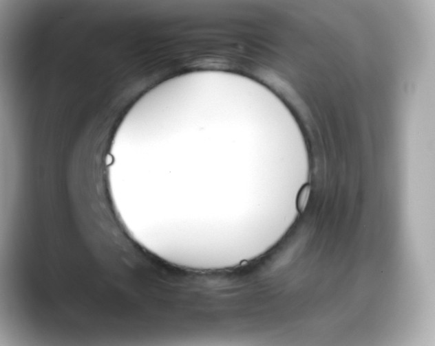 X0000088050529200706011344