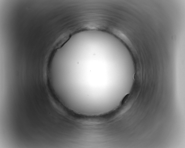 X0000088050530200706011344