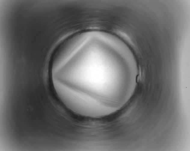 X0000088050531200706011344