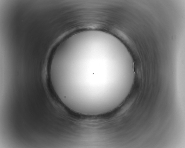 X0000088050532200706011344