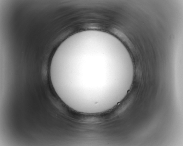 X0000088050533200706011344