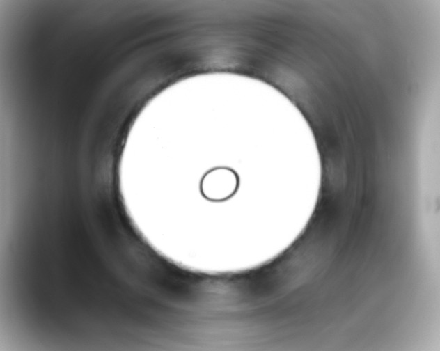 X0000088050534200706011344