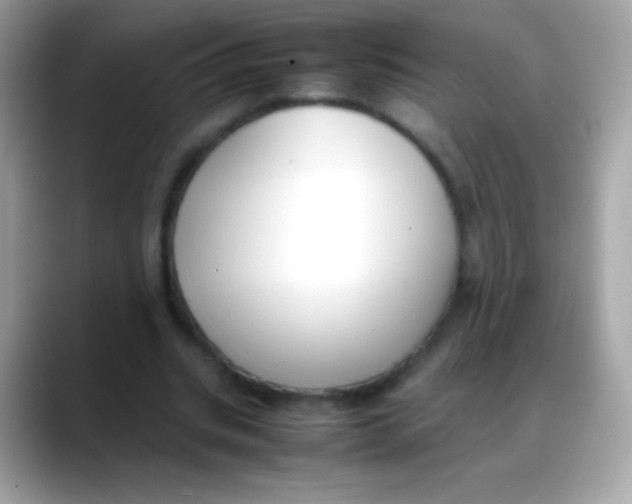X0000088050535200706011344