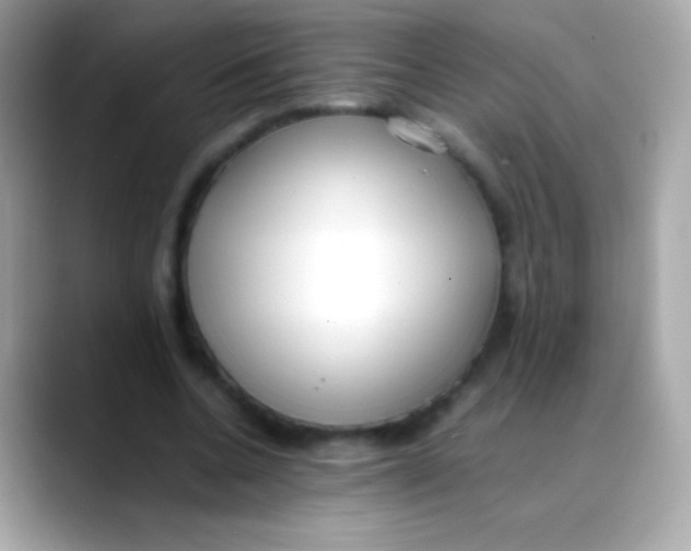 X0000088050536200706011344