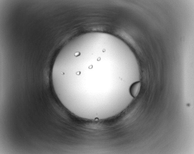 X0000088050537200706011344