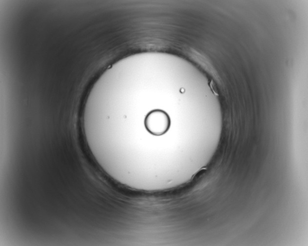 X0000088050538200706011344
