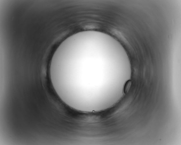 X0000088050539200706011344
